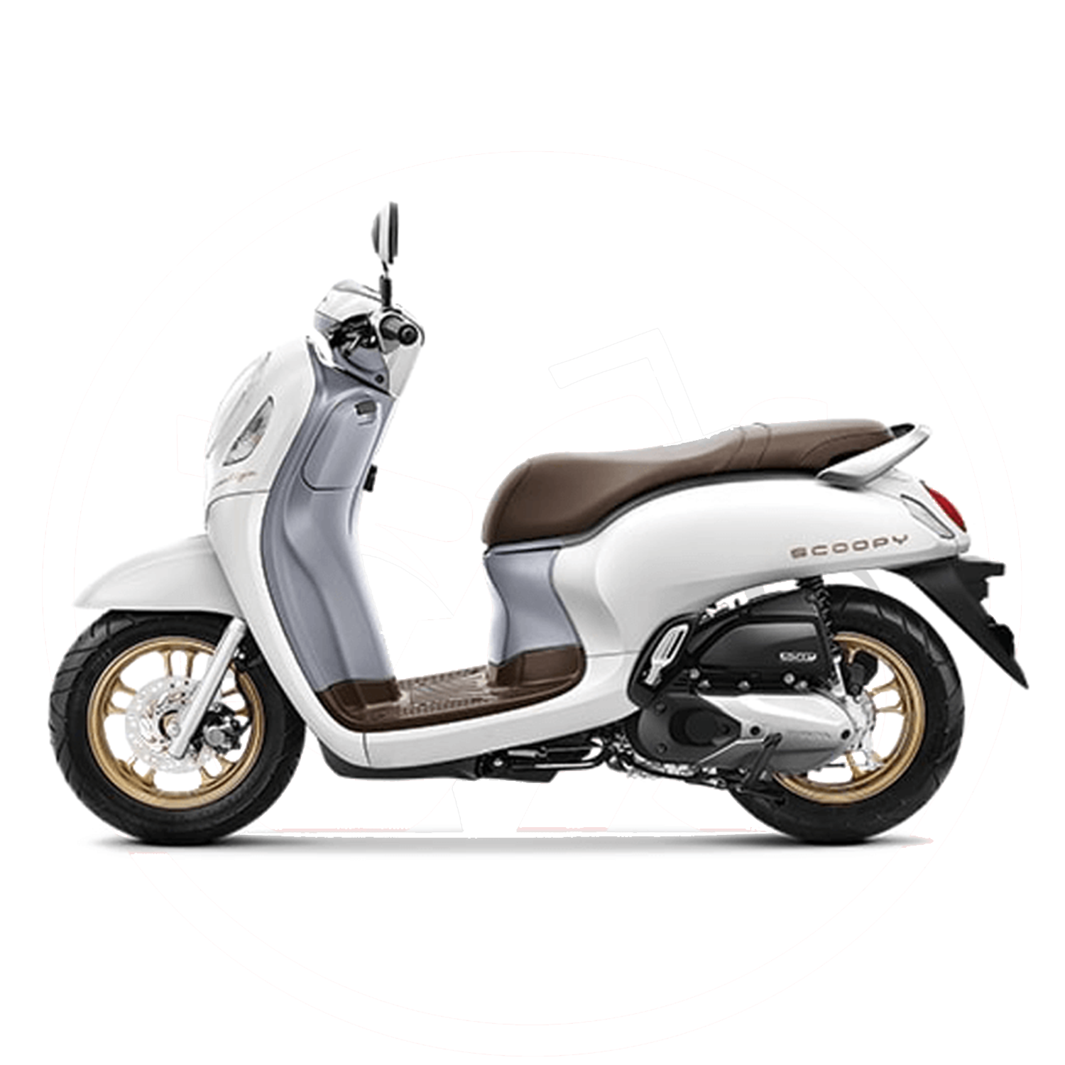 Scoopy 110 Nhập khẩu