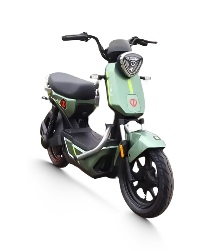 Xe Đạp Điện Tailg GX30