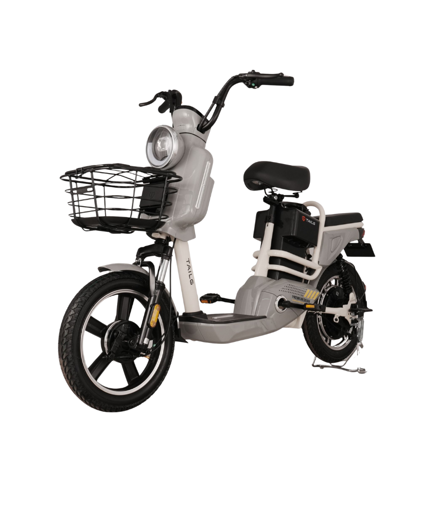 Xe Đạp Điện Tailg JY34