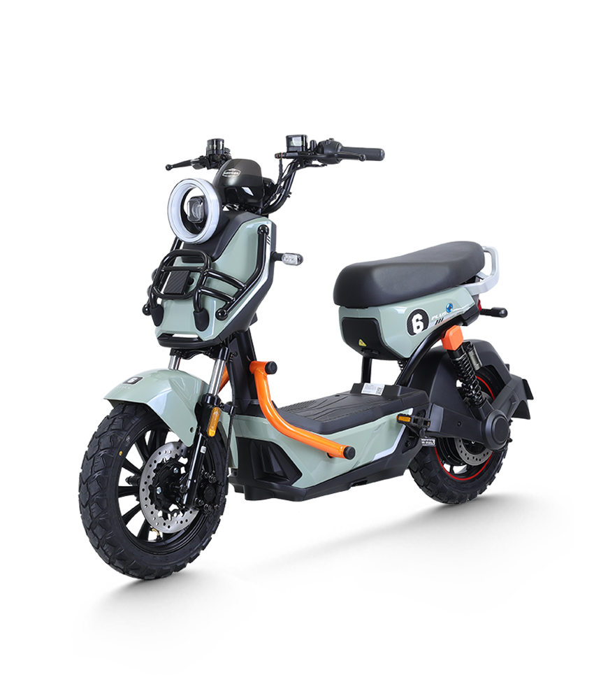 Xe Máy Điện Tailg X51