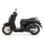 Scoopy 110 Nhập khẩu