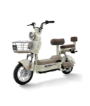 Xe Đạp Điện Tailg JS32