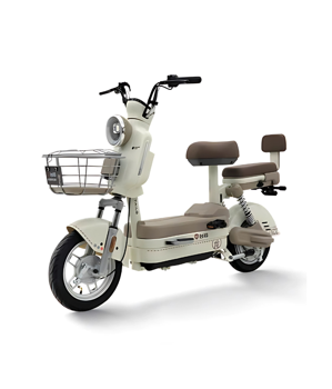 Xe Đạp Điện Tailg JS32