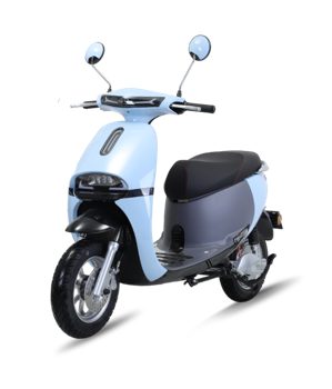 Xe Máy Điện Tailg R31 (Gogo)