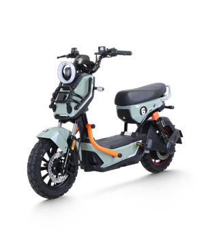 Xe Máy Điện Tailg X51